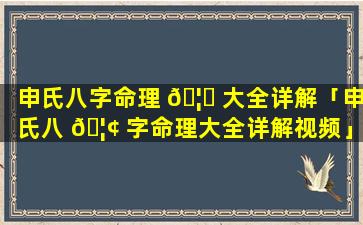 申氏八字命理 🦊 大全详解「申氏八 🦢 字命理大全详解视频」